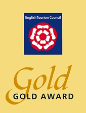 Gold award